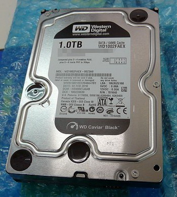 WD1002FAEX